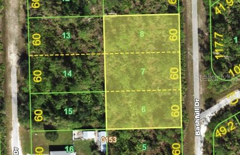 12293 BASHFULL DR, PUNTA GORDA, FL, 33955
