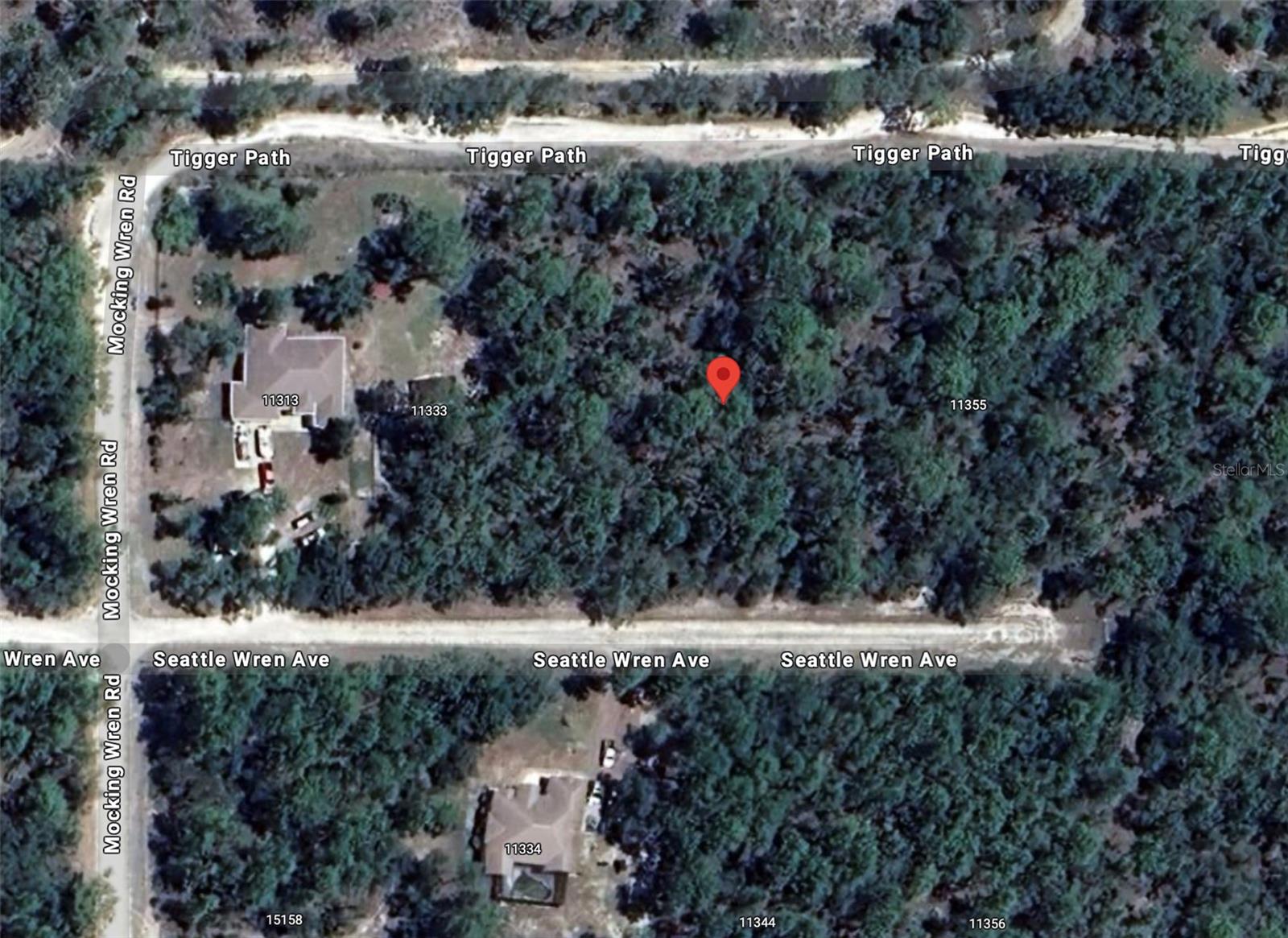 11343 SEATTLE WREN AVE, WEEKI WACHEE, FL, 34614