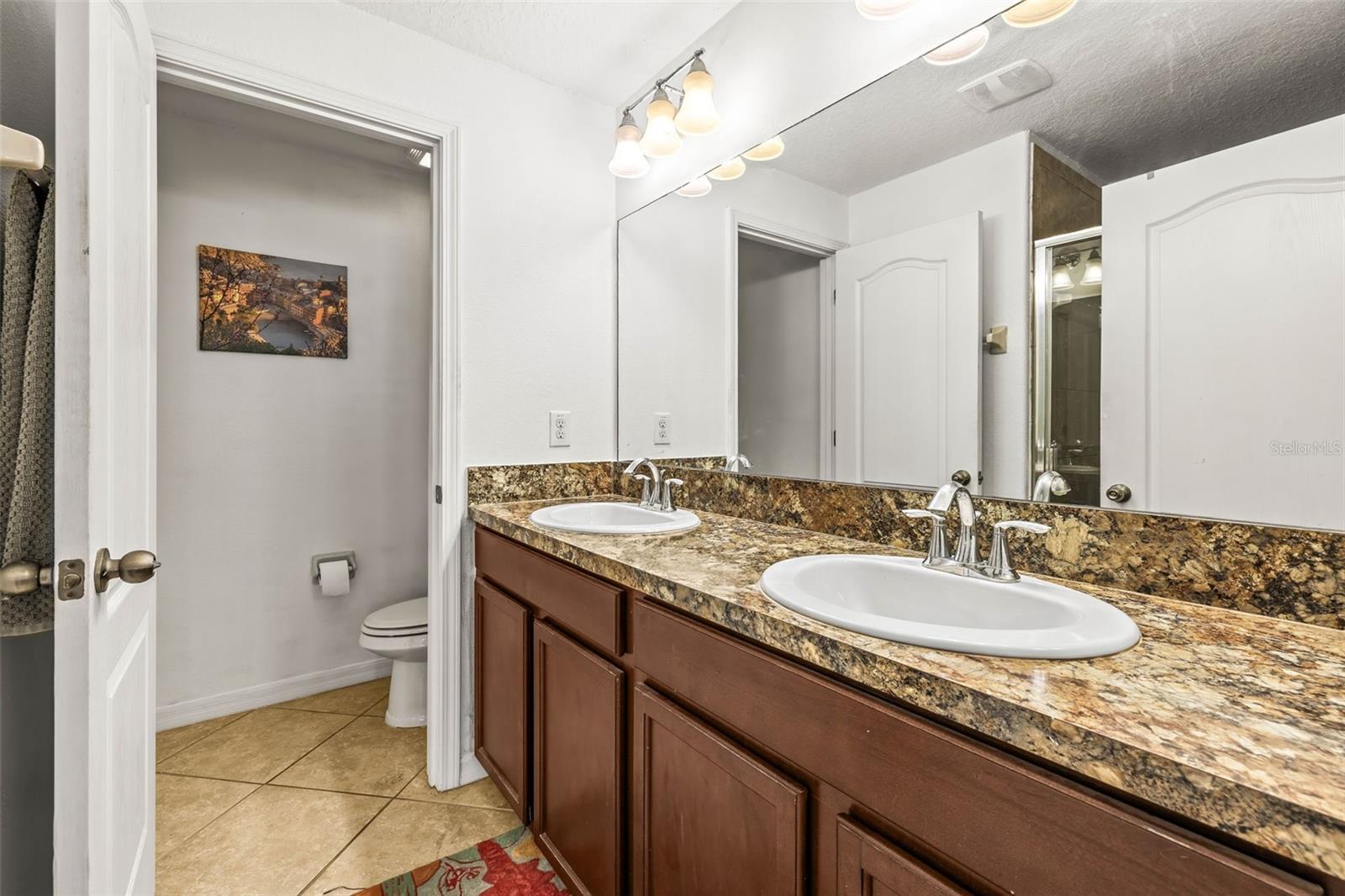 31211 GOSSAMER WAY, WESLEY CHAPEL, FL, 33543