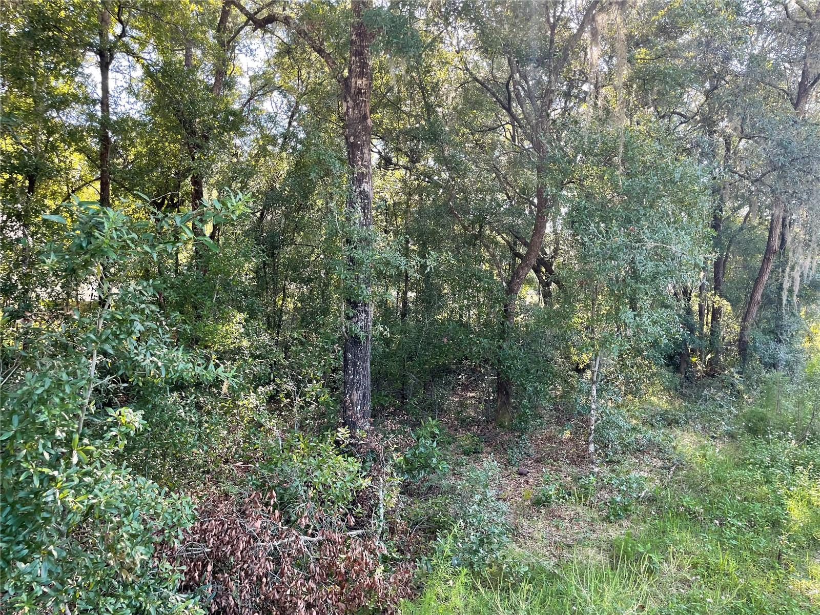 3537 SW 106 ST, GAINESVILLE, FL, 32608