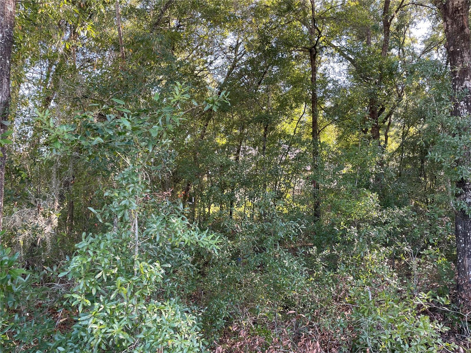 3537 SW 106 ST, GAINESVILLE, FL, 32608