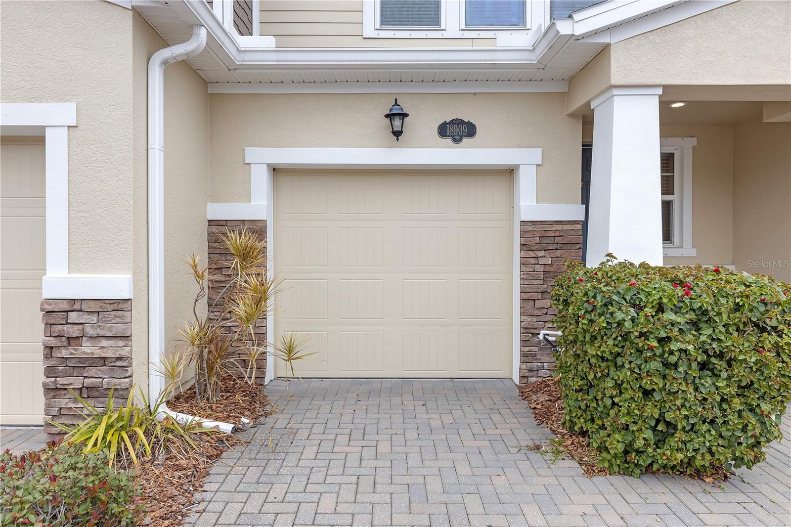 18909 ULMUS ST, LUTZ, FL, 33558