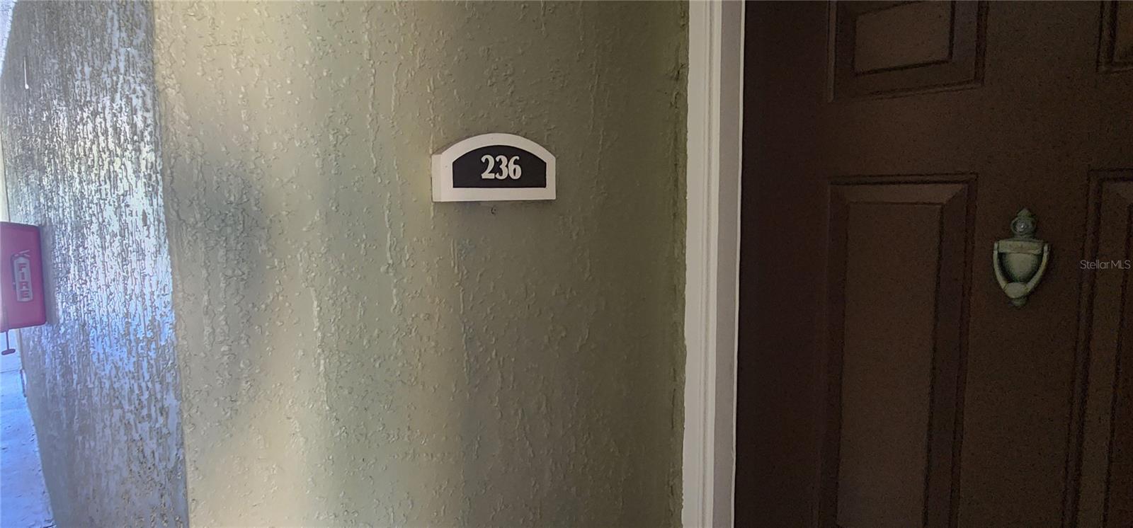 713 CREST PINES DR #236, ORLANDO, FL, 32828