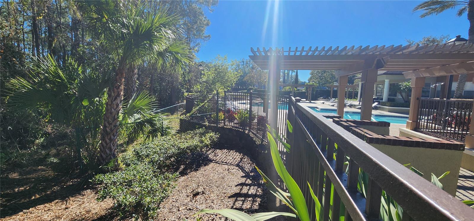 713 CREST PINES DR #236, ORLANDO, FL, 32828