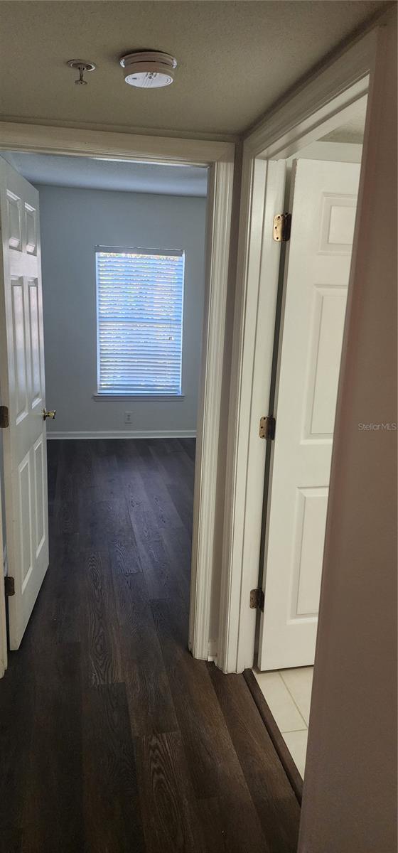 713 CREST PINES DR #236, ORLANDO, FL, 32828
