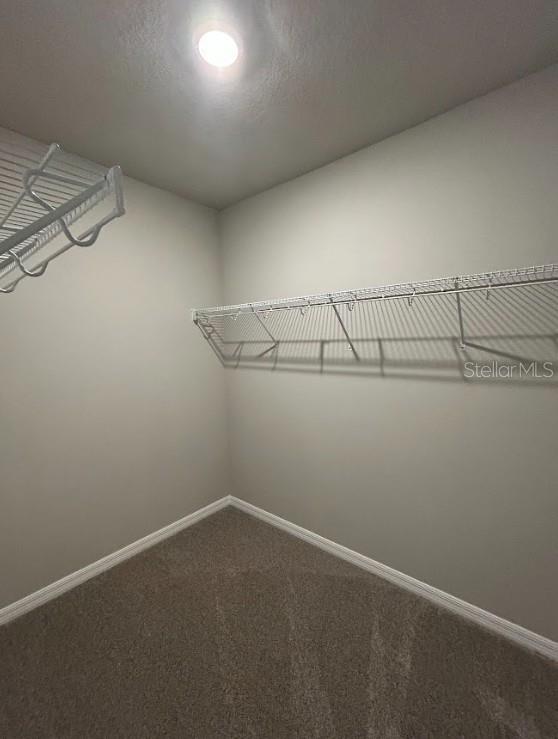 3720 RADIANT MOUNTAIN DR, PLANT CITY, FL, 33565