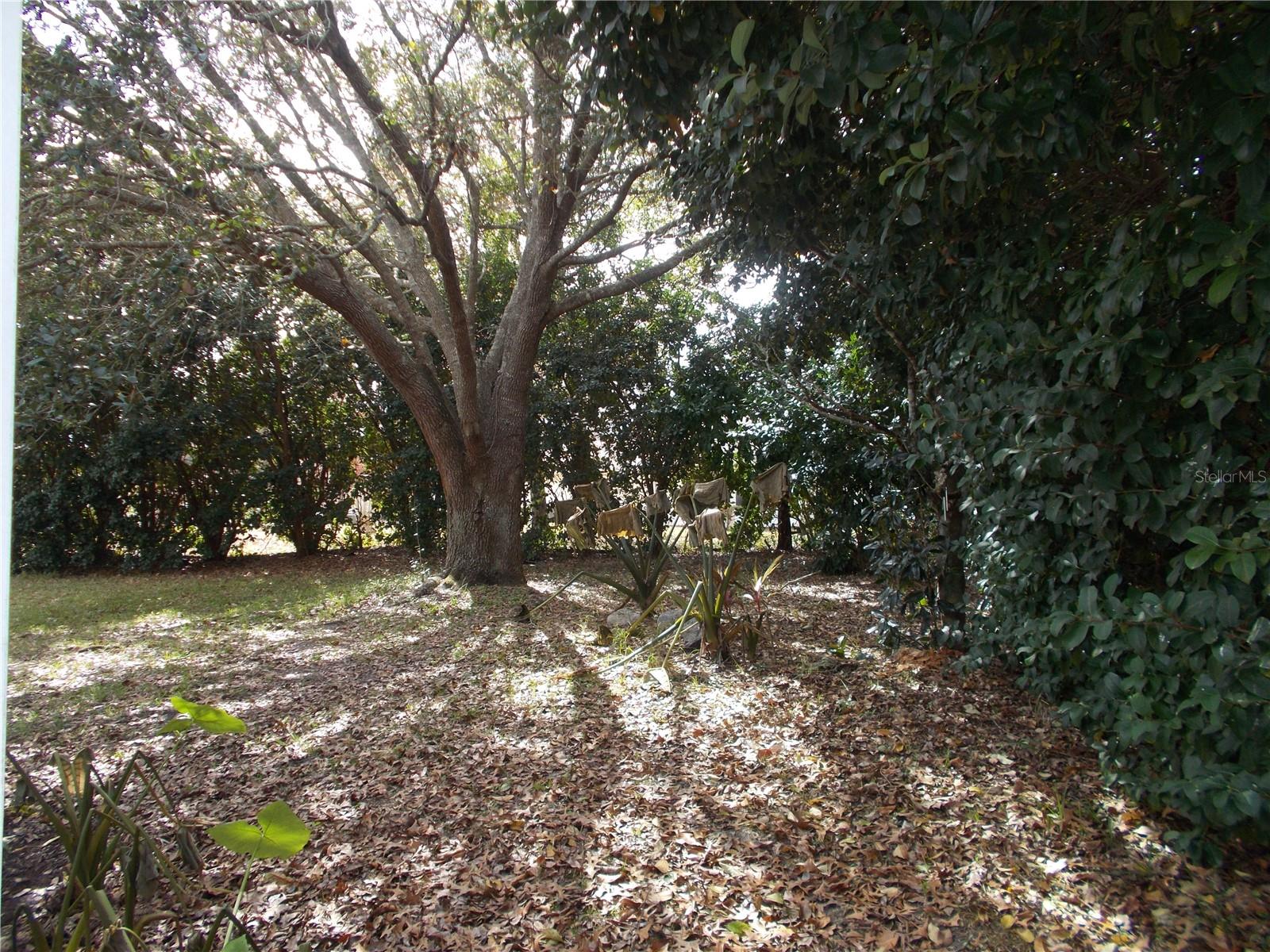 7106 SW 115TH LOOP, OCALA, FL, 34476