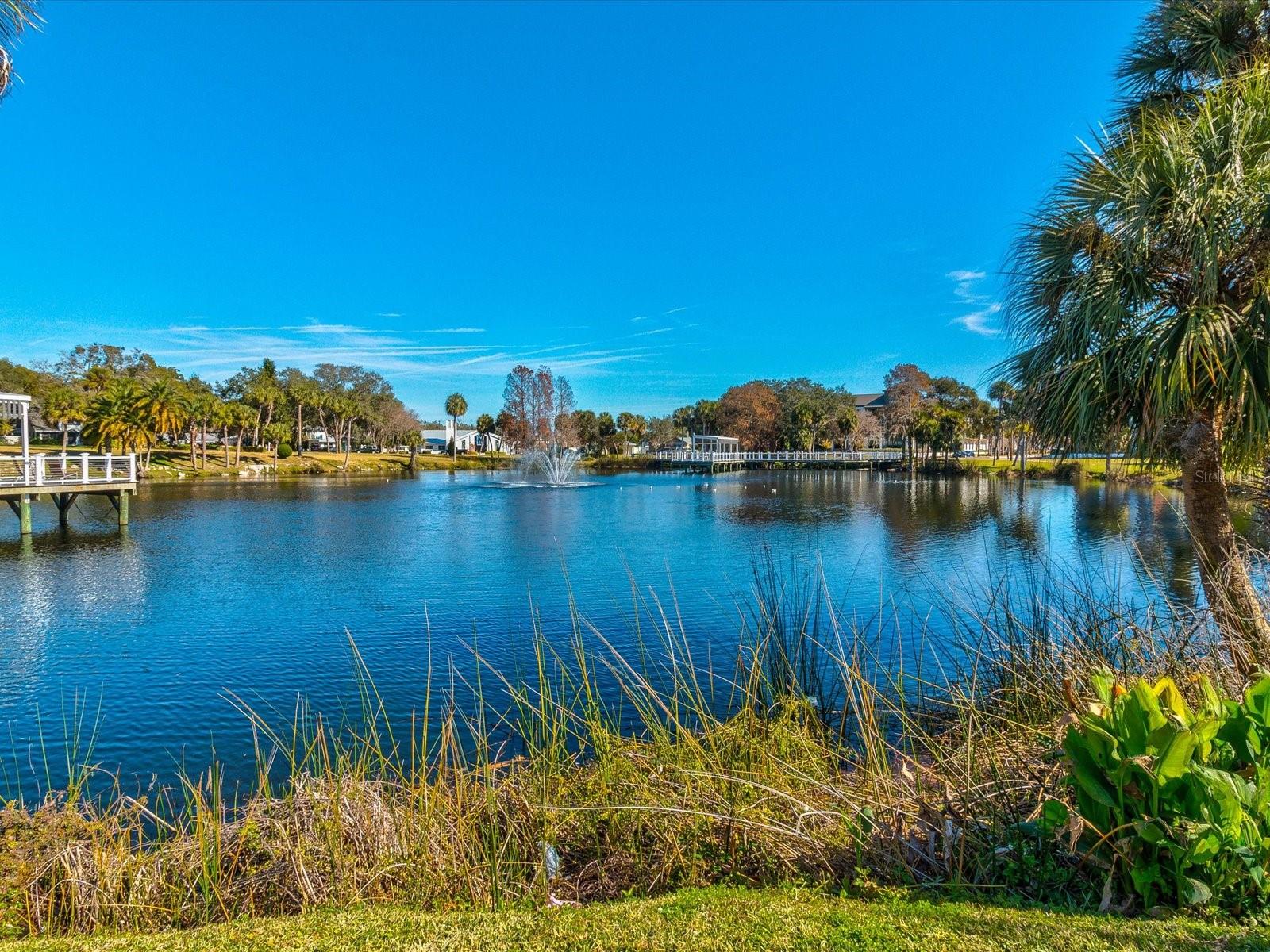 5933 LAFAYETTE ST, NEW PORT RICHEY, FL, 34652