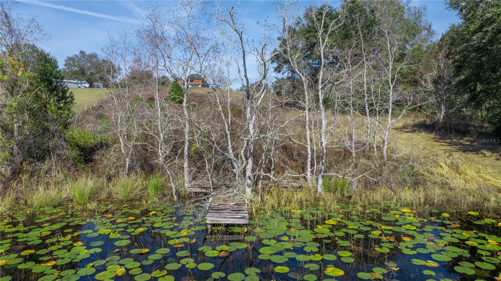 SE 165TH AVE, WEIRSDALE, FL, 32195