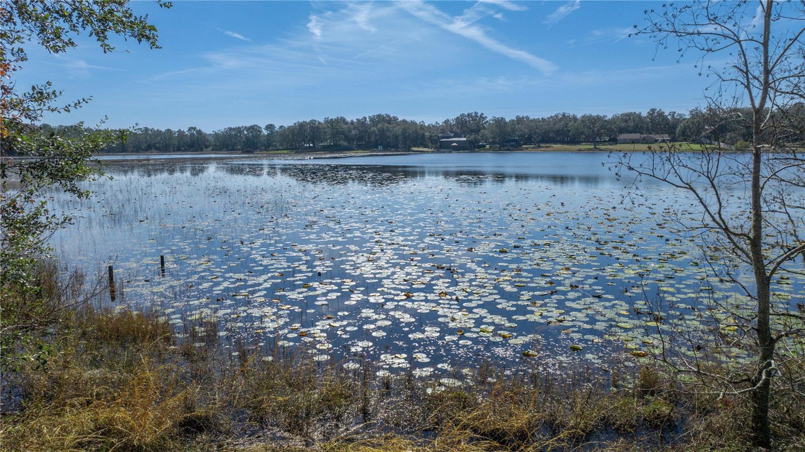 SE 165TH AVE, WEIRSDALE, FL, 32195