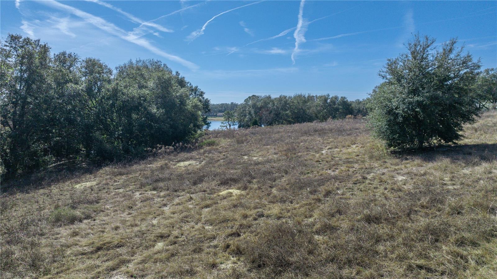 SE 165TH AVE, WEIRSDALE, FL, 32195