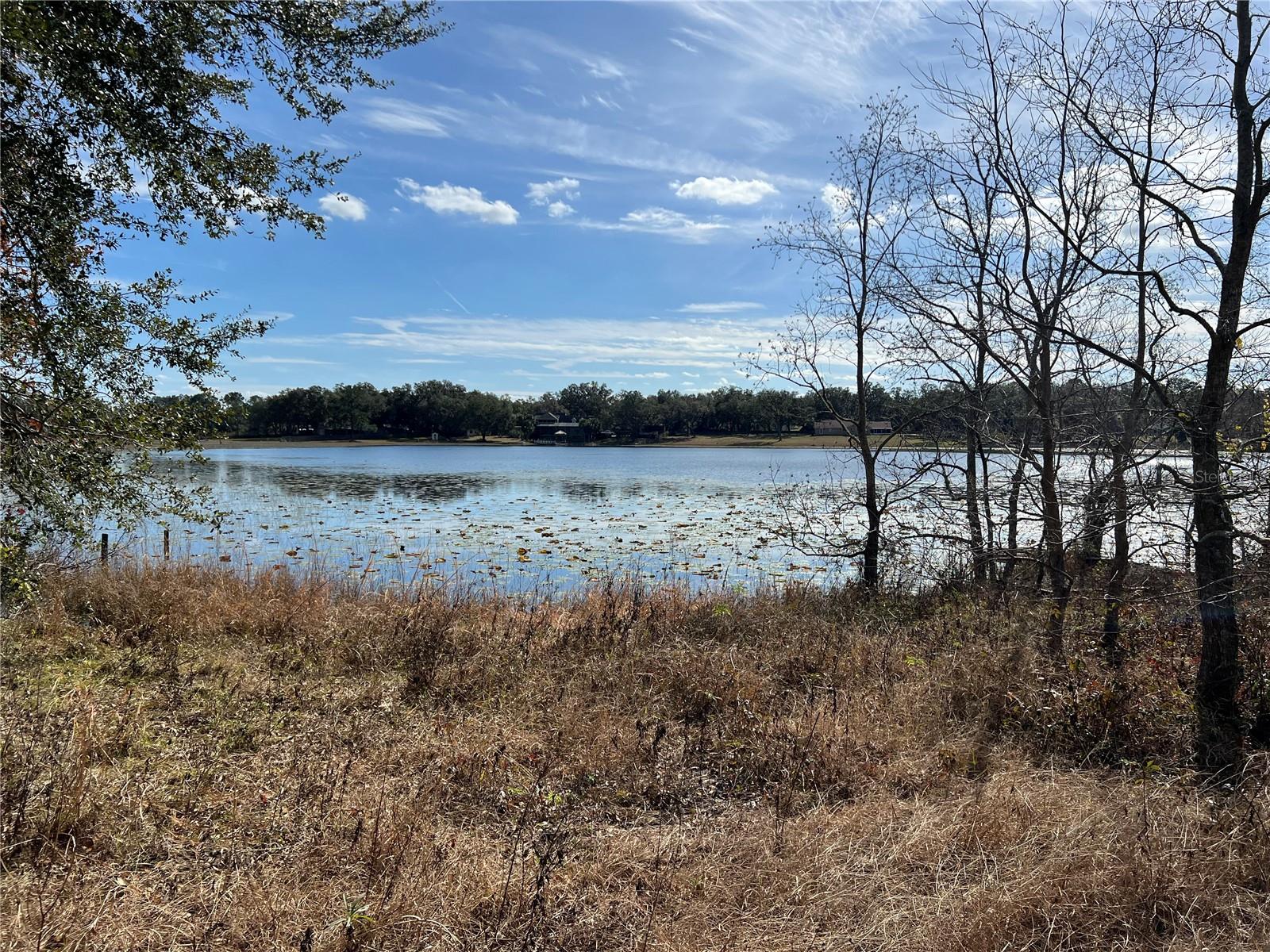SE 165TH AVE, WEIRSDALE, FL, 32195