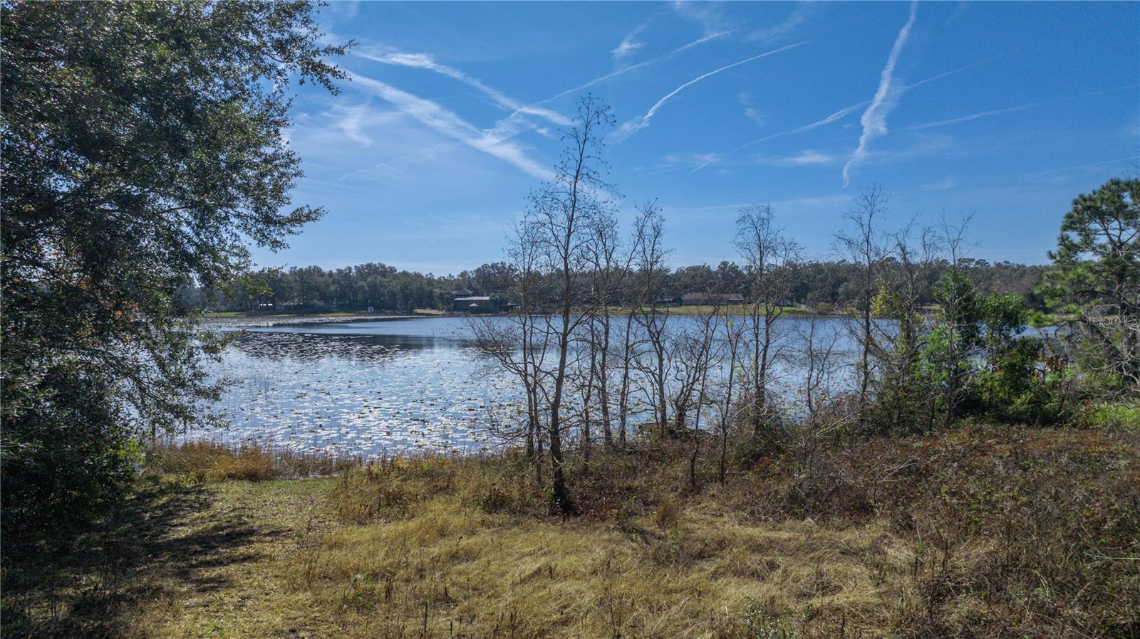 SE 165TH AVE, WEIRSDALE, FL, 32195