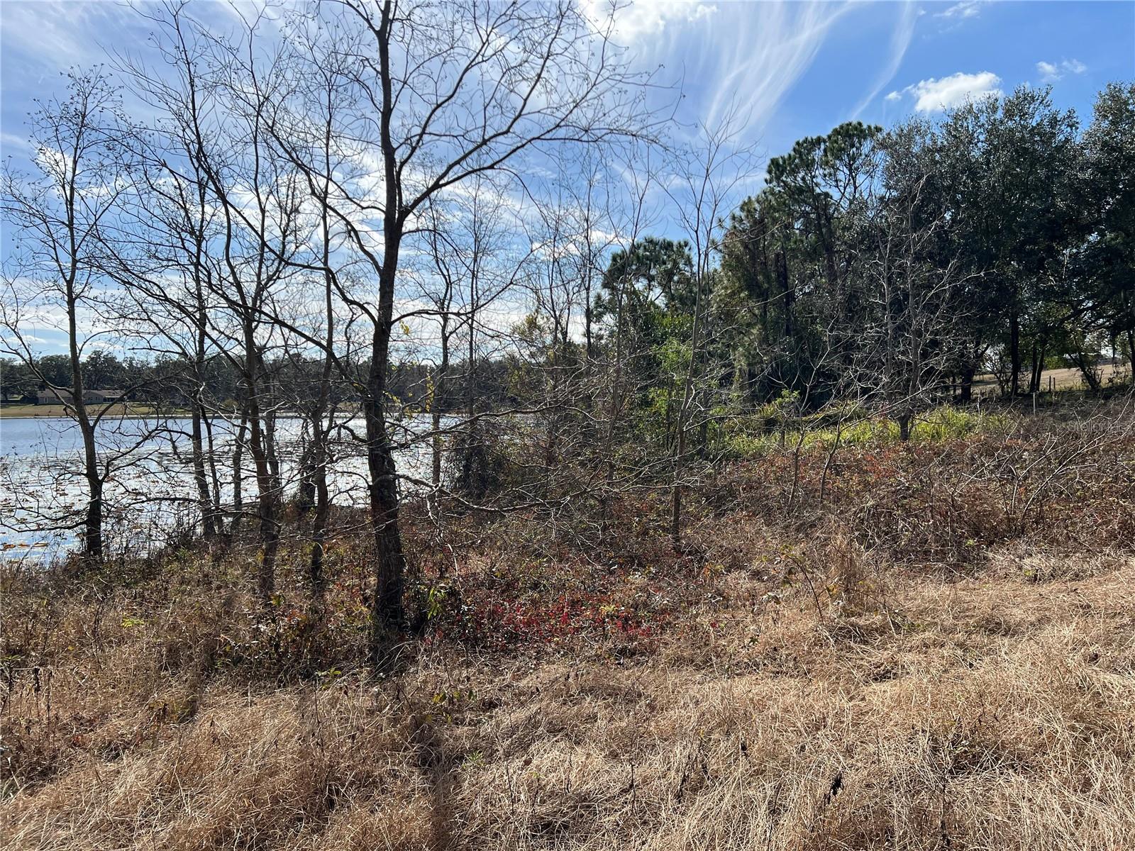 SE 165TH AVE, WEIRSDALE, FL, 32195