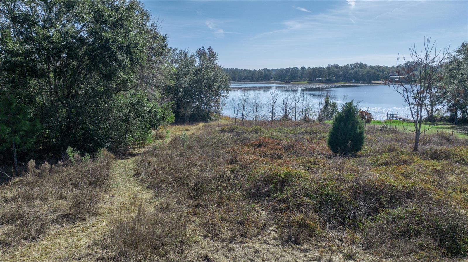 SE 165TH AVE, WEIRSDALE, FL, 32195