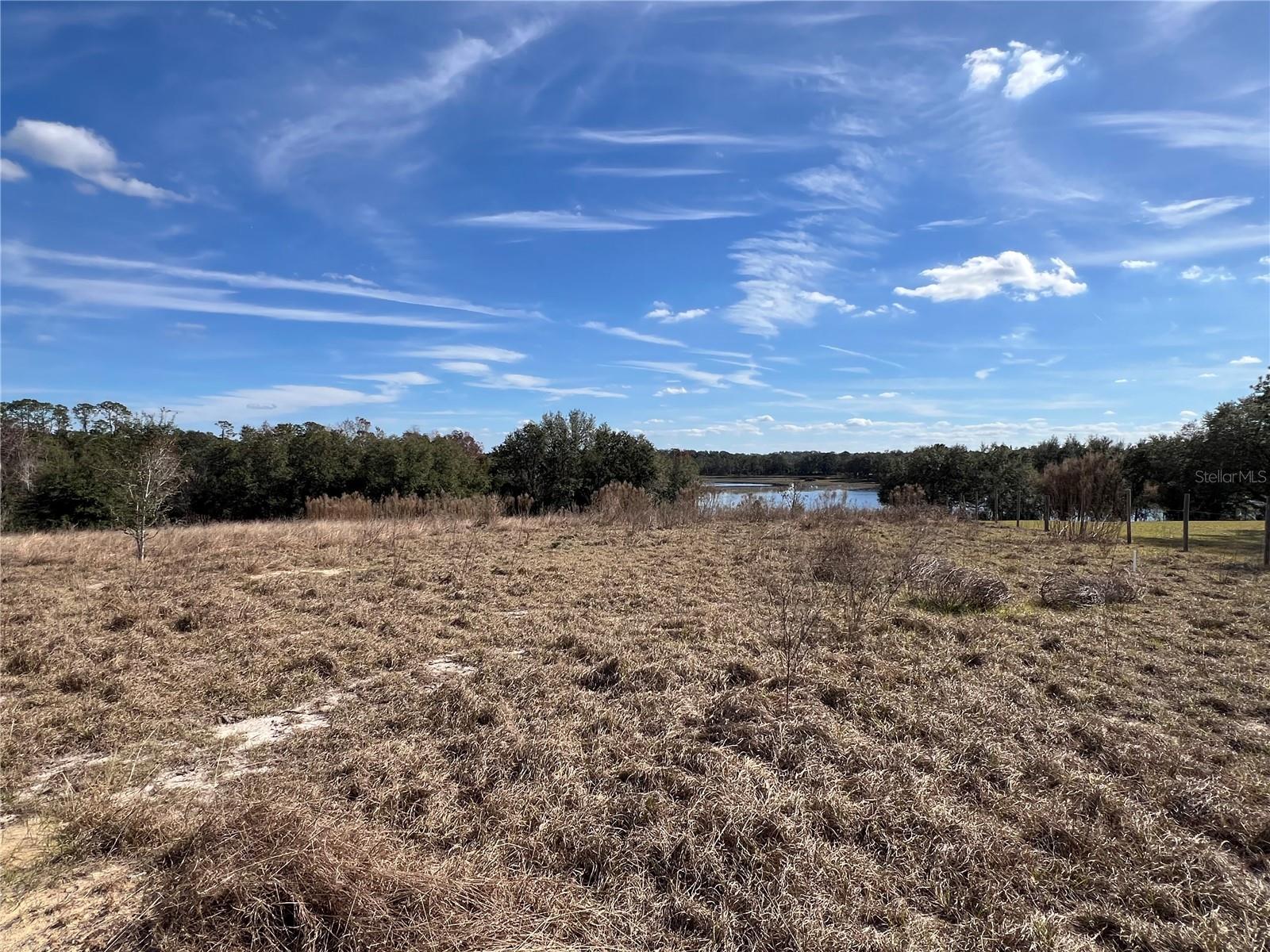 SE 165TH AVE, WEIRSDALE, FL, 32195