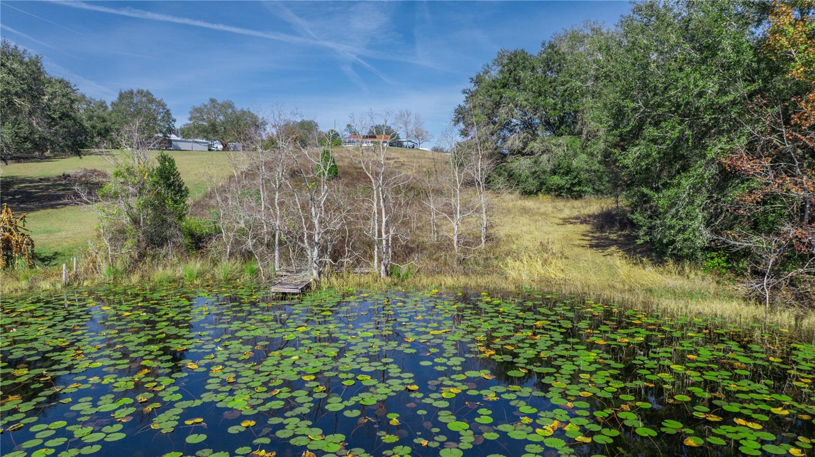 SE 165TH AVE, WEIRSDALE, FL, 32195