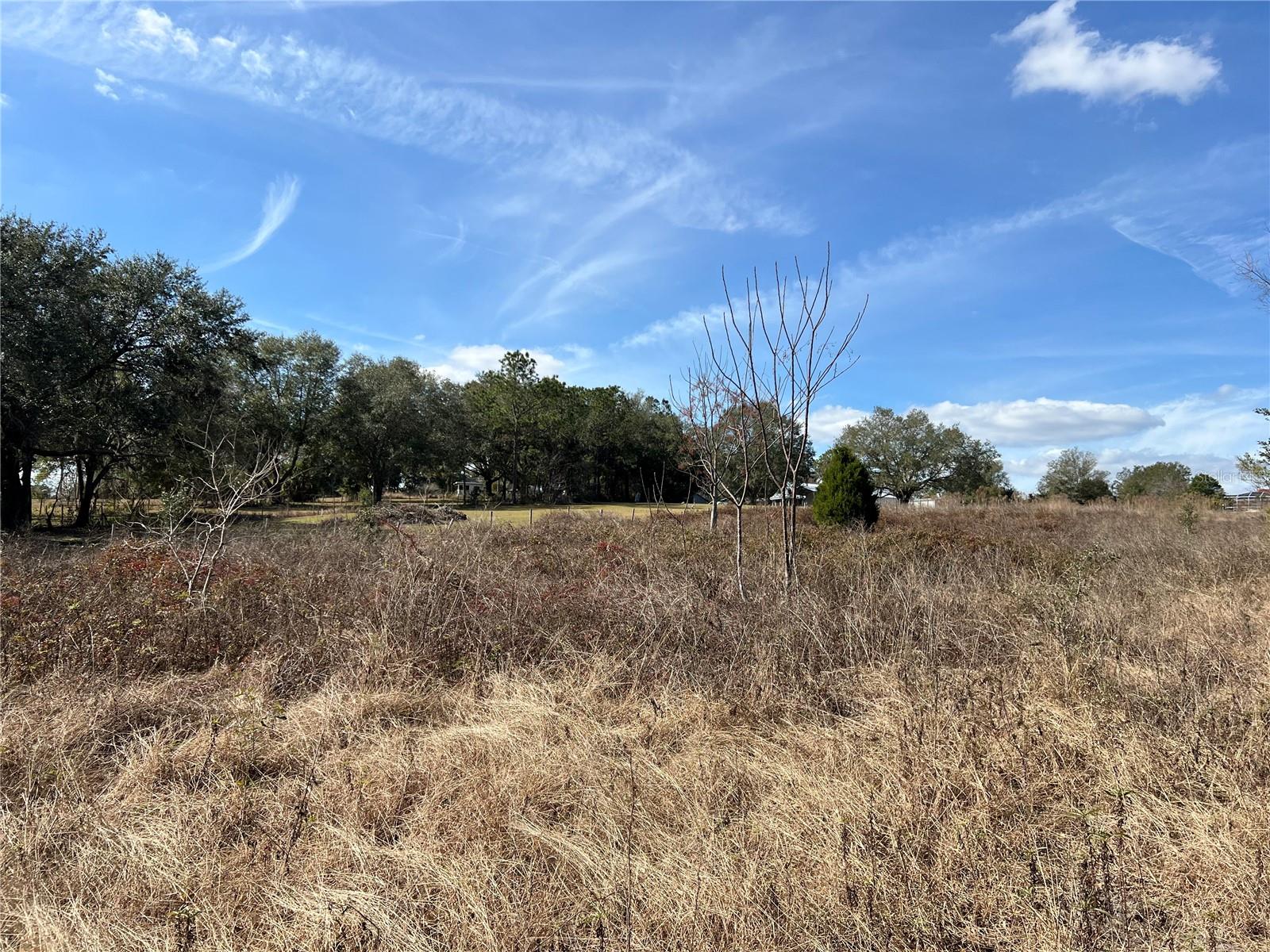 SE 165TH AVE, WEIRSDALE, FL, 32195