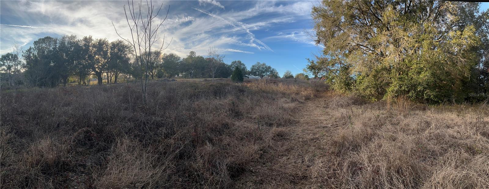 SE 165TH AVE, WEIRSDALE, FL, 32195
