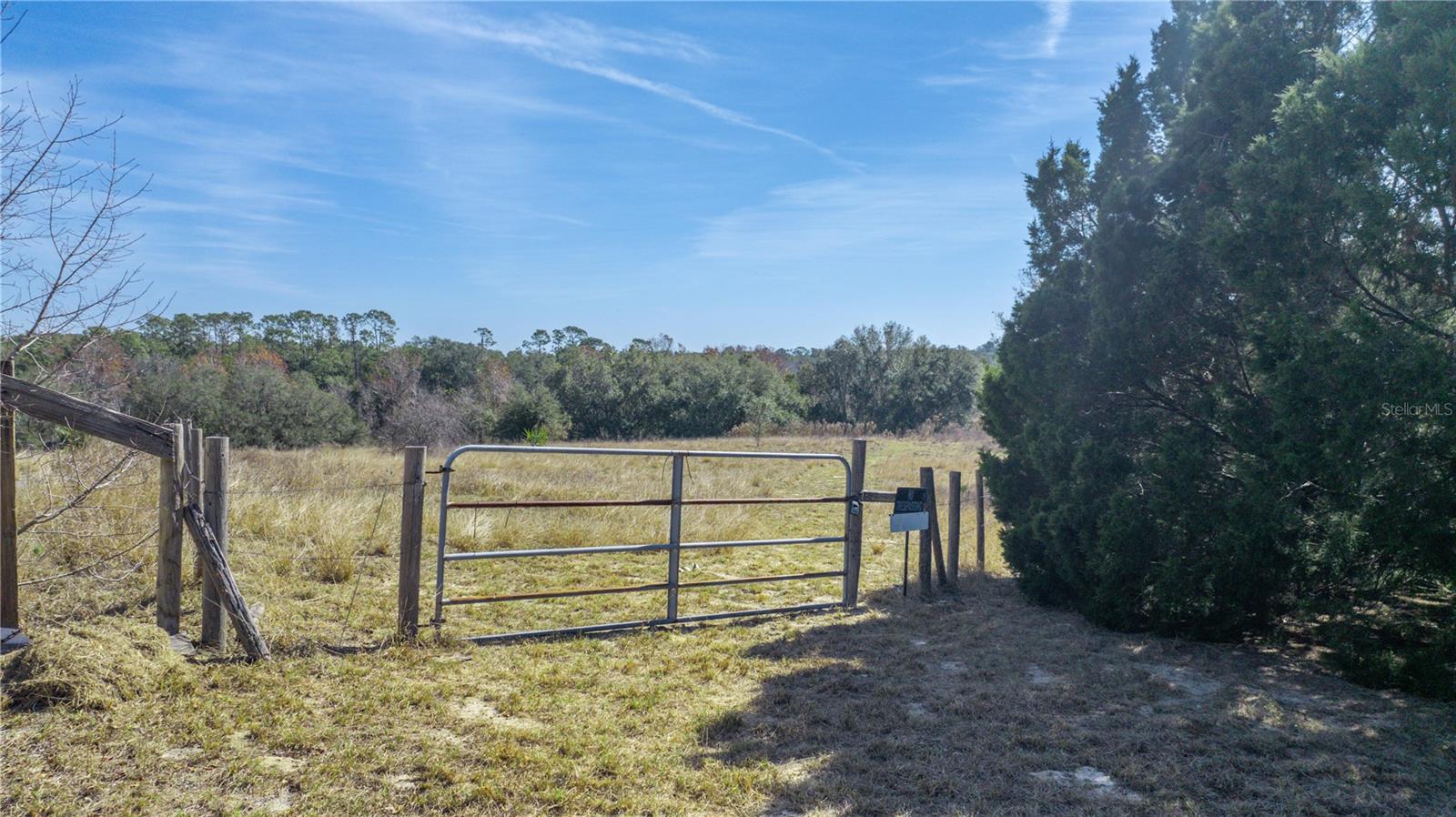 SE 165TH AVE, WEIRSDALE, FL, 32195