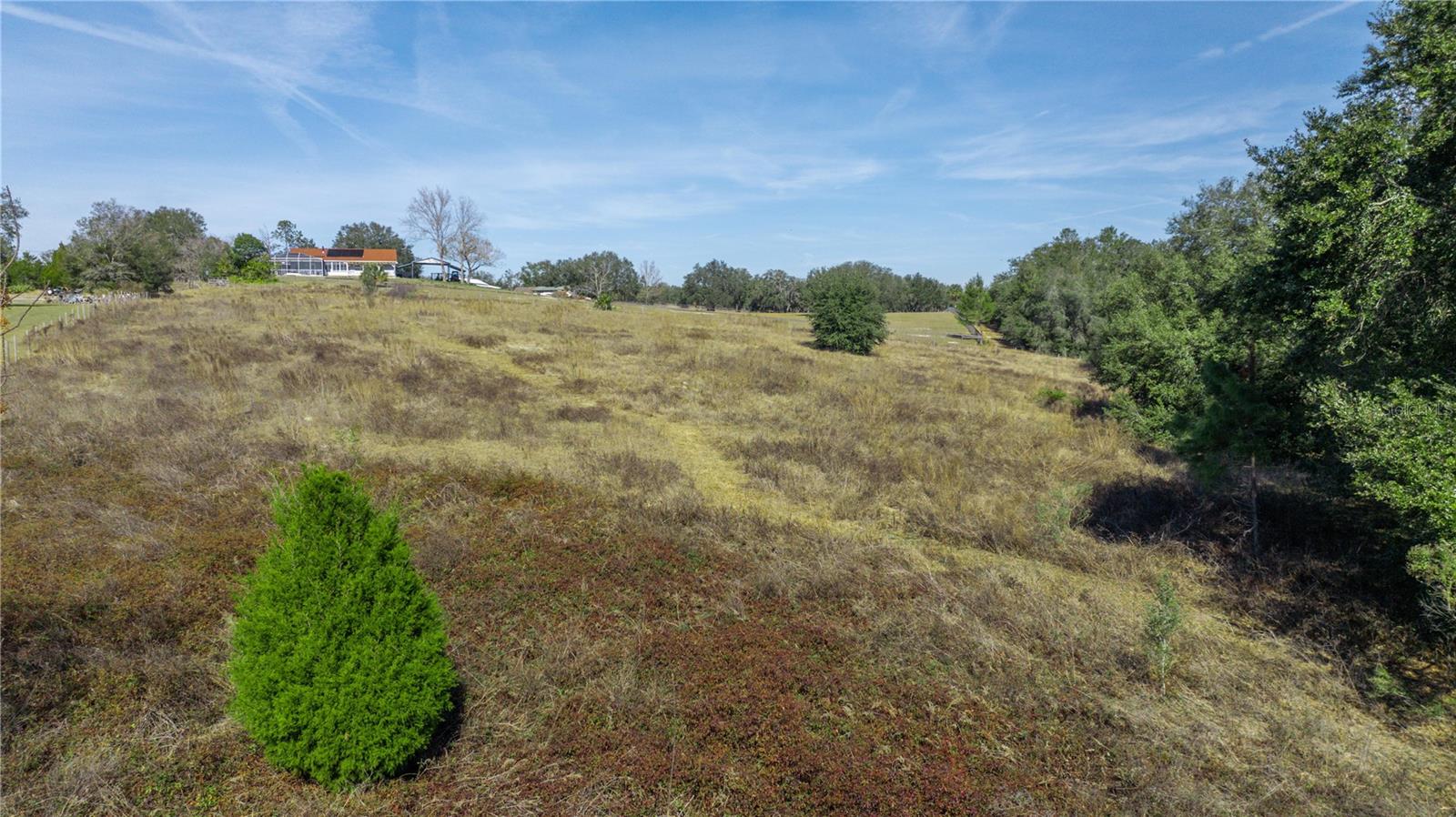 SE 165TH AVE, WEIRSDALE, FL, 32195