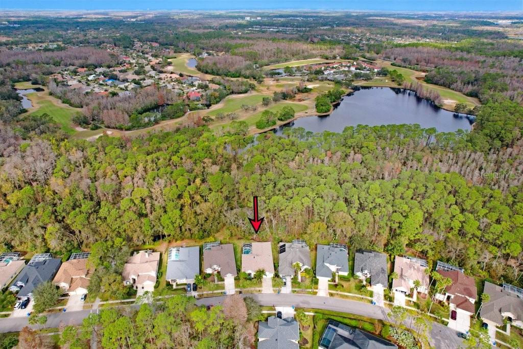 9812 GRETNA GREEN DR, TAMPA, FL, 33626