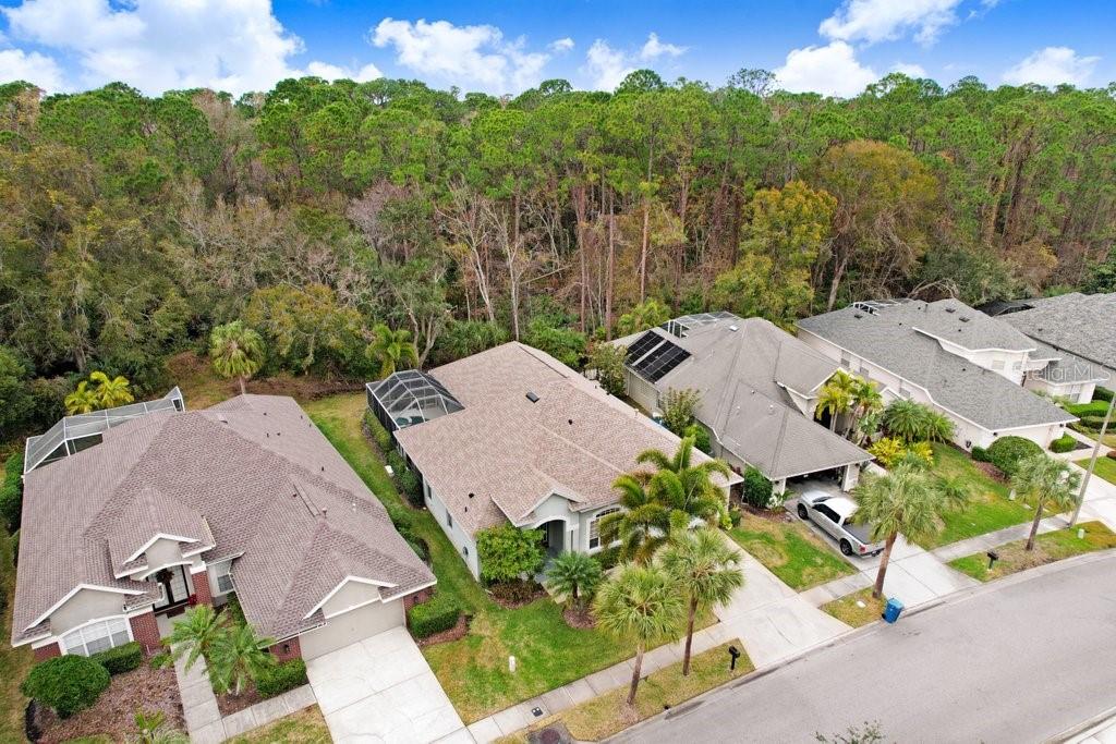 9812 GRETNA GREEN DR, TAMPA, FL, 33626
