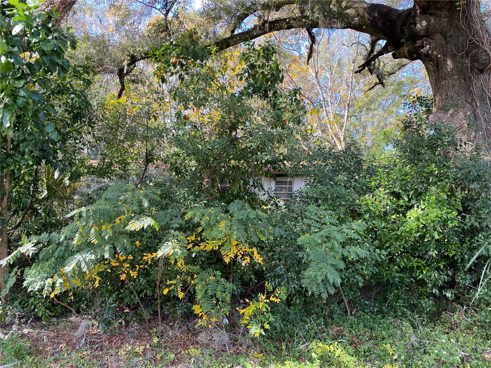 534 S DEXTER AVE, DELAND, FL, 32720