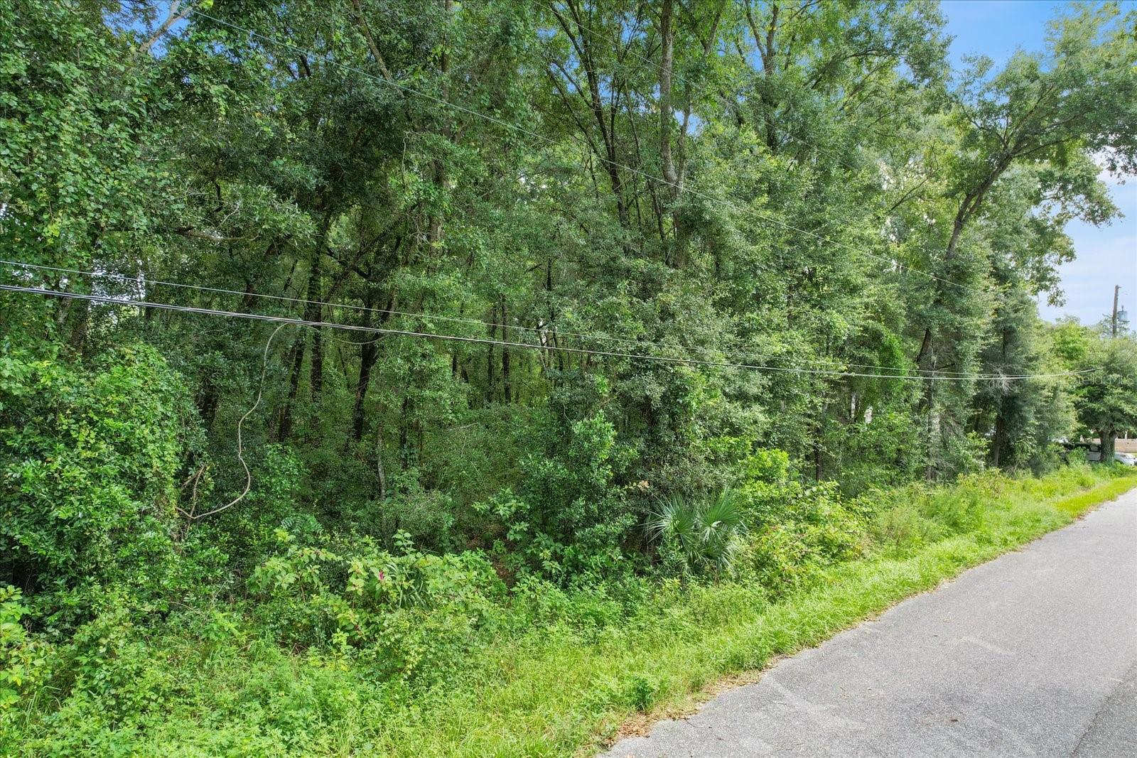 5347 E MUZZLE LOADERS CT, INVERNESS, FL, 34452