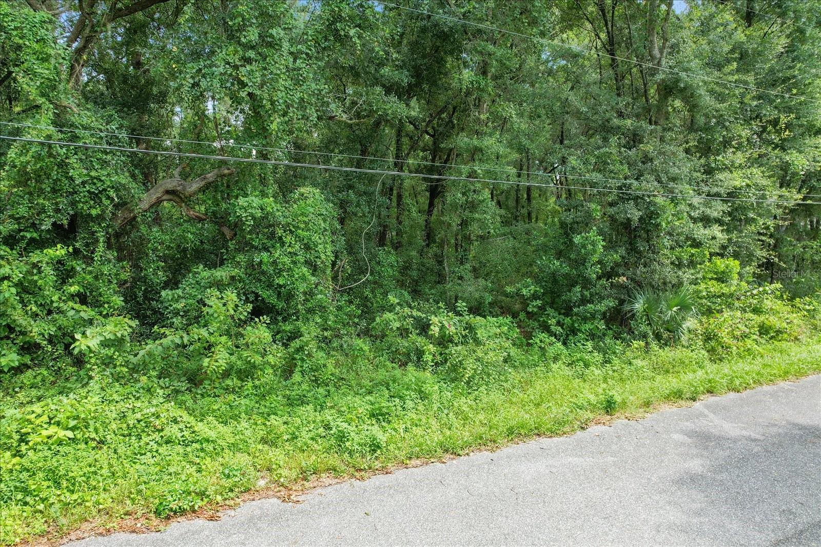 5347 E MUZZLE LOADERS CT, INVERNESS, FL, 34452