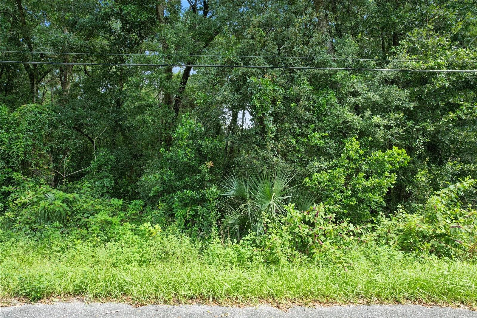 5347 E MUZZLE LOADERS CT, INVERNESS, FL, 34452