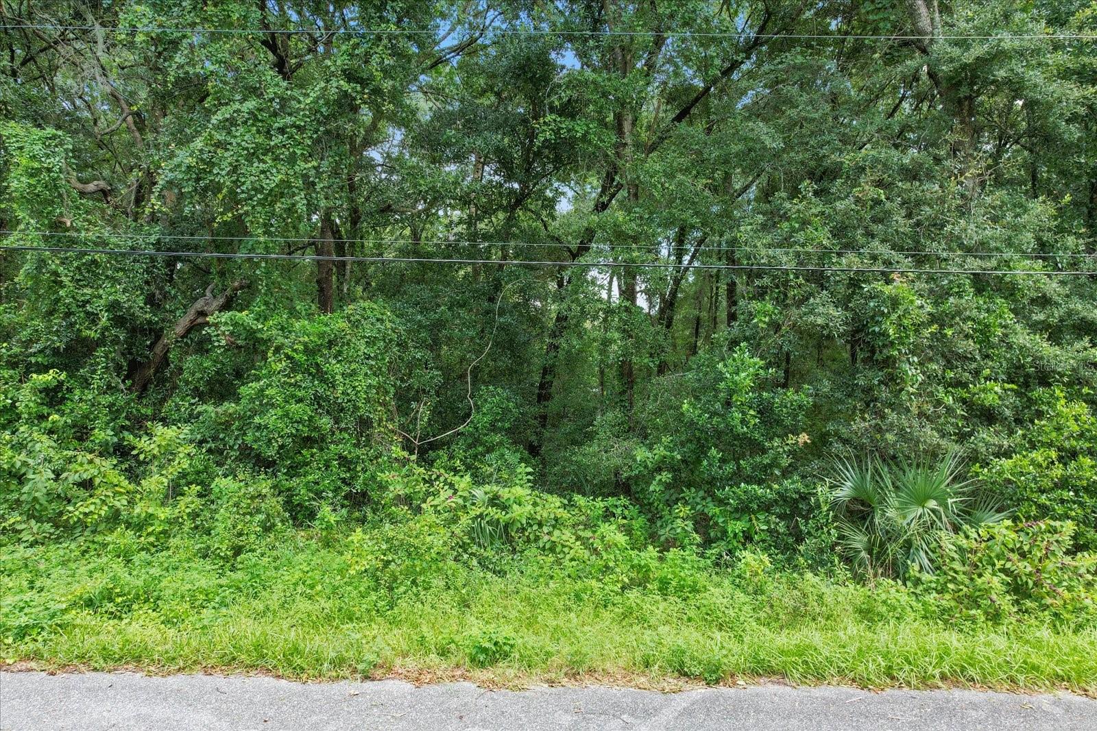 5347 E MUZZLE LOADERS CT, INVERNESS, FL, 34452