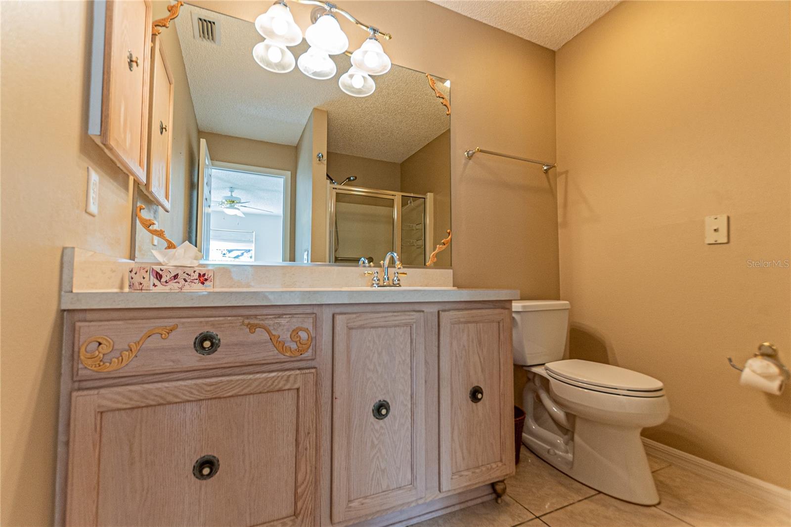 17074 SE 75TH WICKSON CT, THE VILLAGES, FL, 32162