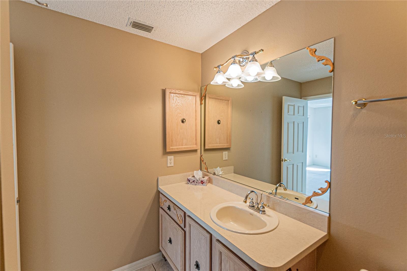 17074 SE 75TH WICKSON CT, THE VILLAGES, FL, 32162