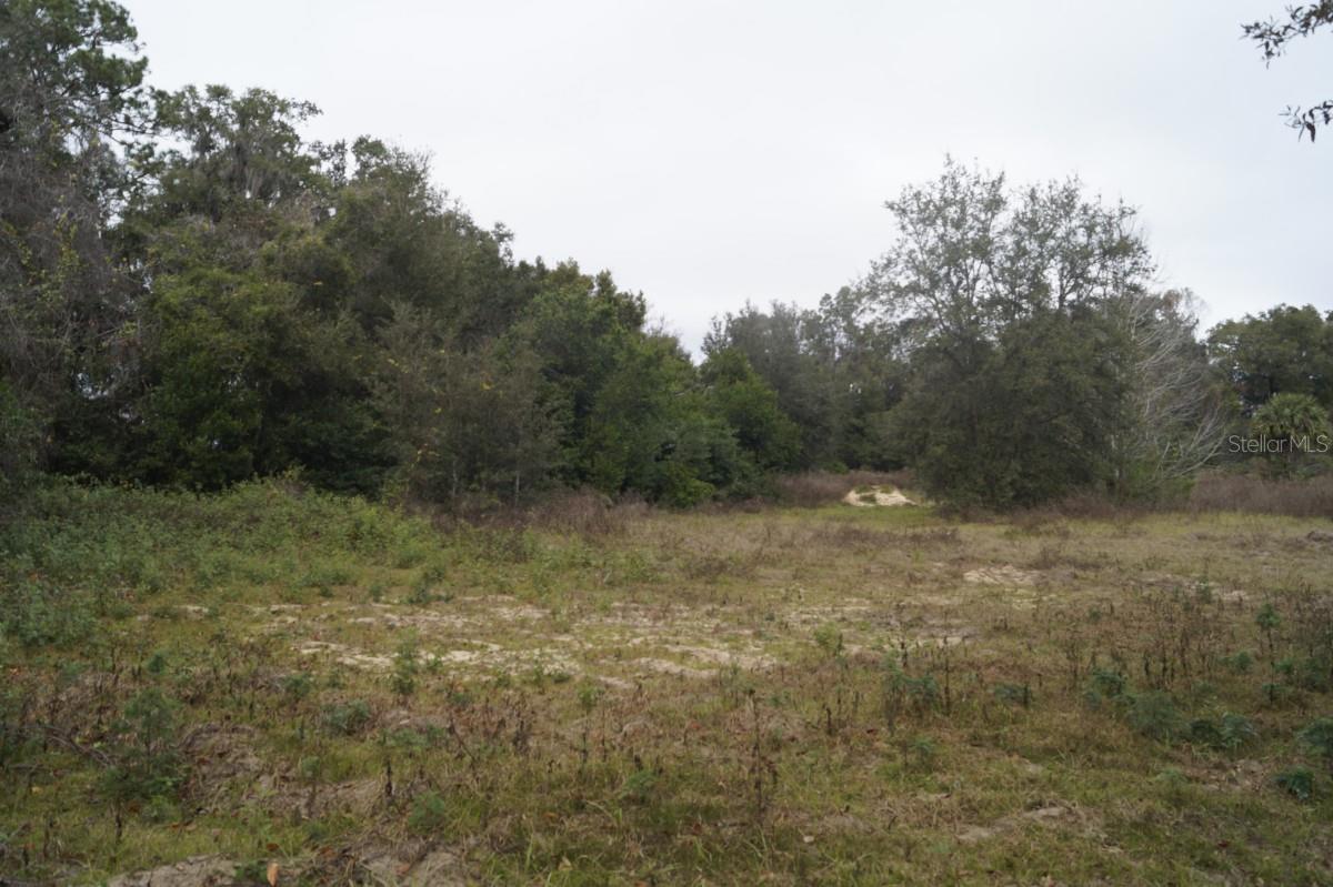 0 SE 110TH ST, BELLEVIEW, FL, 34420