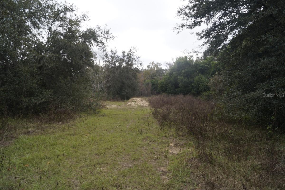 0 SE 110TH ST, BELLEVIEW, FL, 34420
