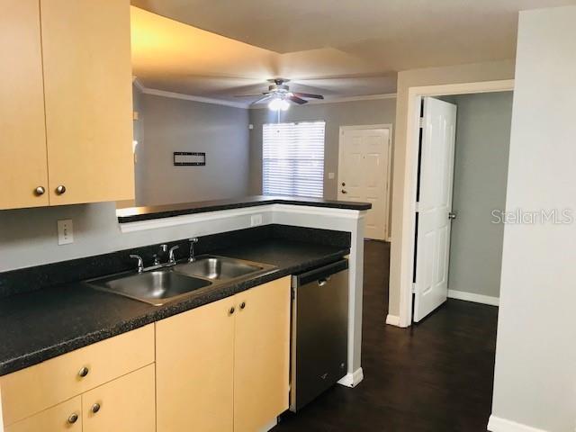 1000 VIA SANTAE LN #103, CELEBRATION, FL, 34747