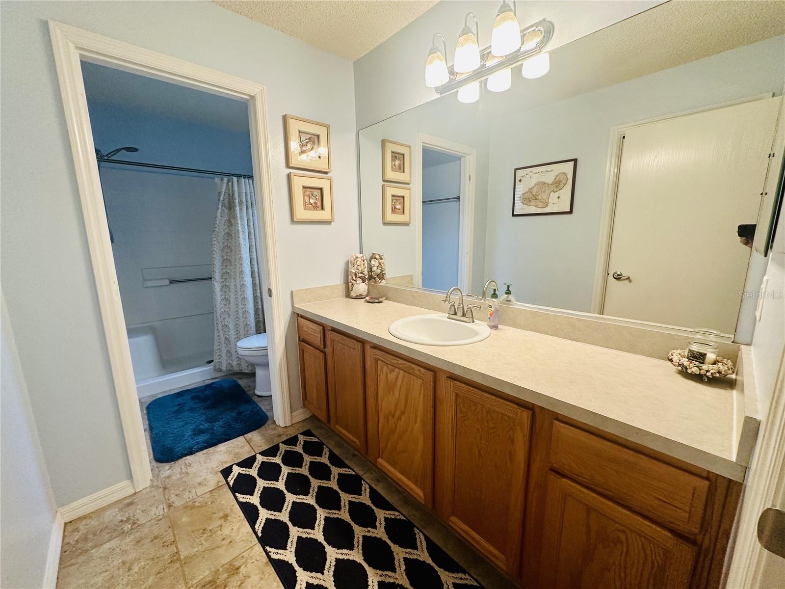 3632 IDLEWOOD LOOP, THE VILLAGES, FL, 32162