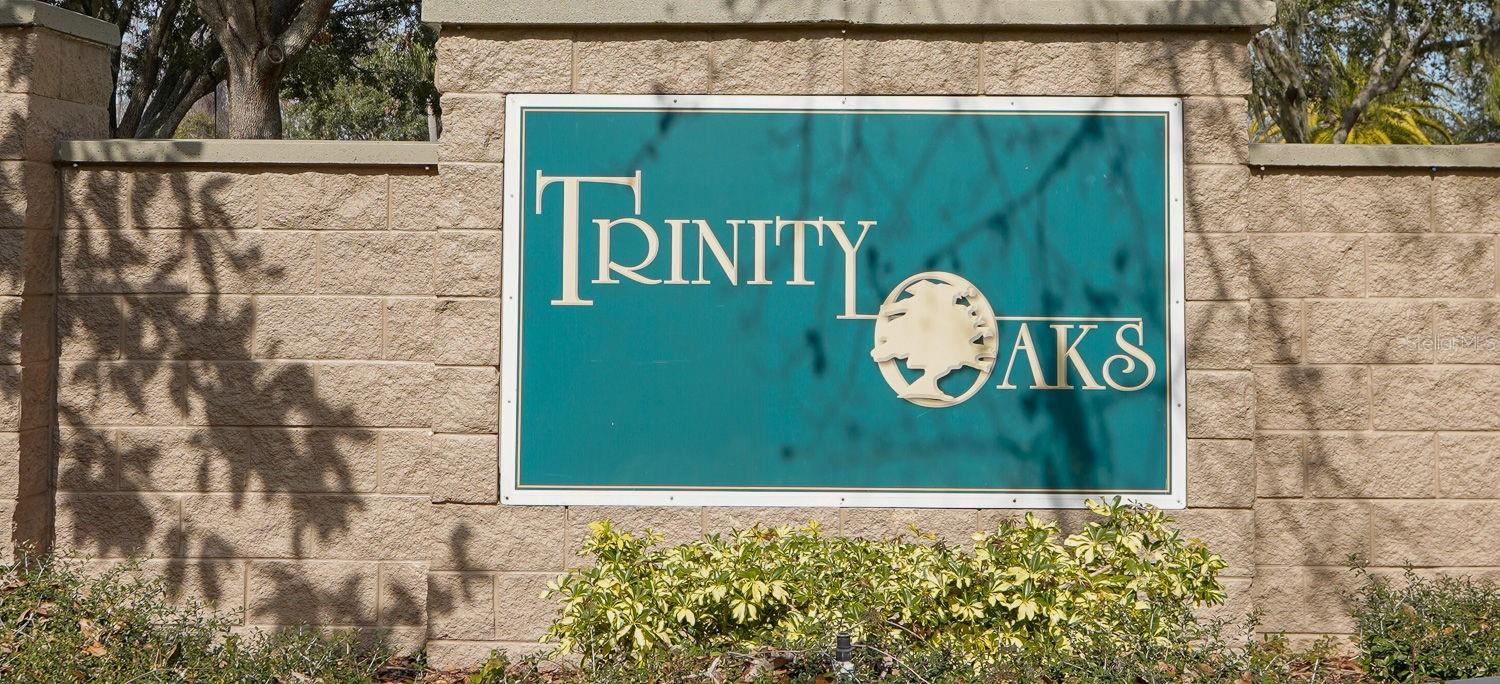 8537 ORSI CT, TRINITY, FL, 34655