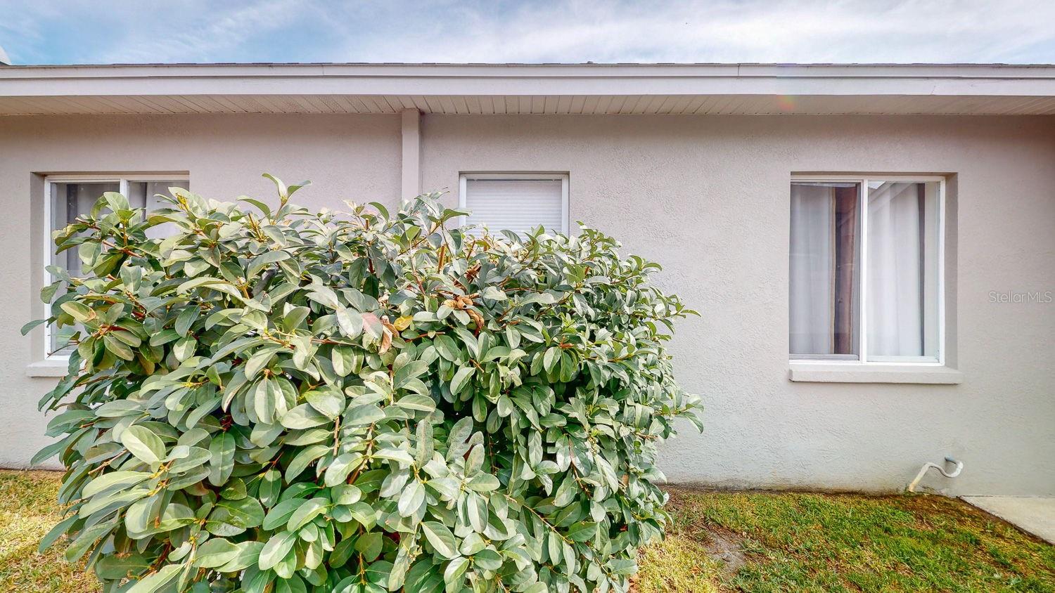 8537 ORSI CT, TRINITY, FL, 34655