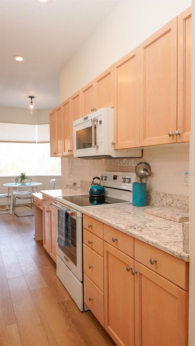 8537 ORSI CT, TRINITY, FL, 34655