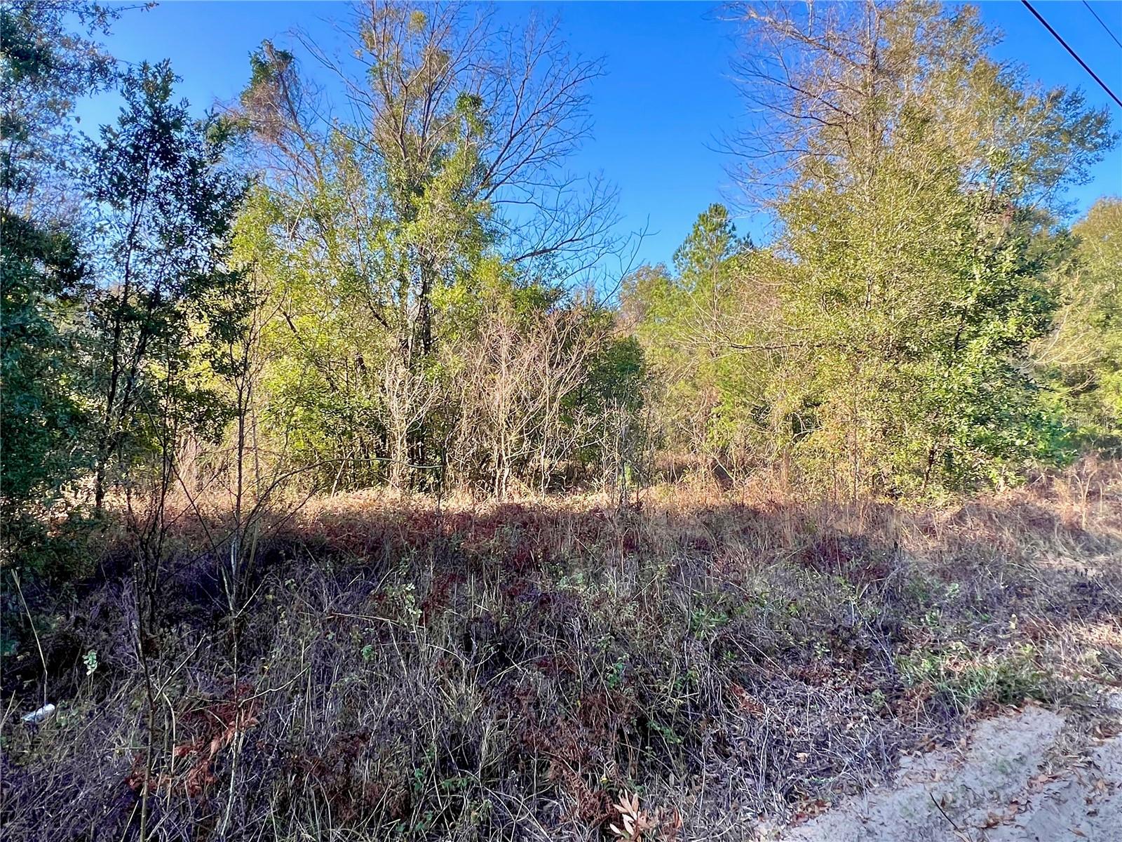 0 NW 7TH PL, OCALA, FL, 34482