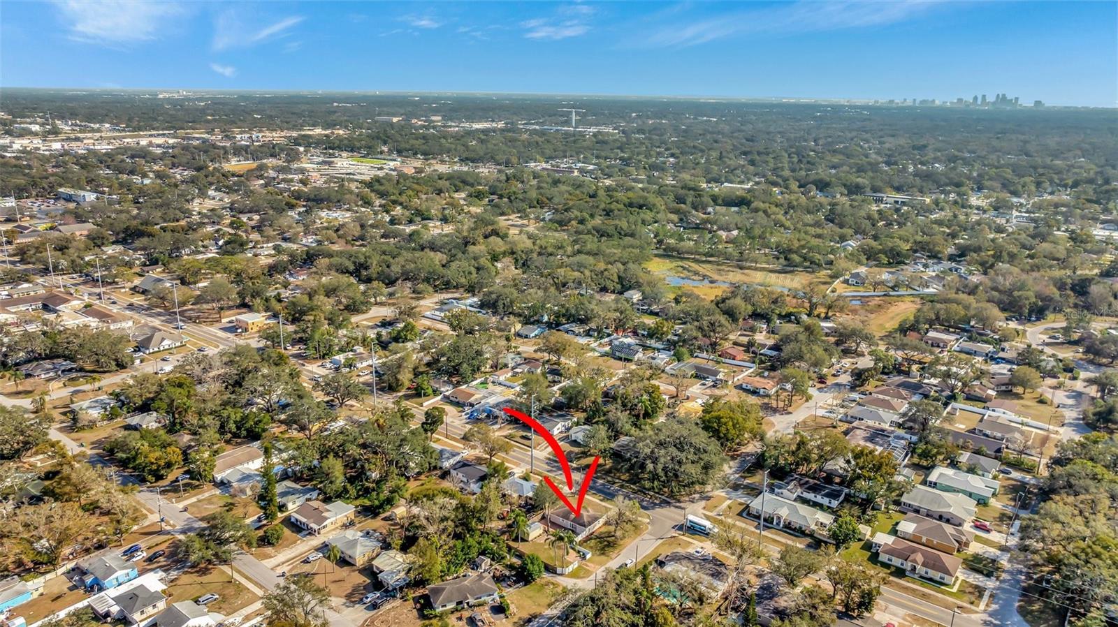 1423 W LINEBAUGH AVE, TAMPA, FL, 33612