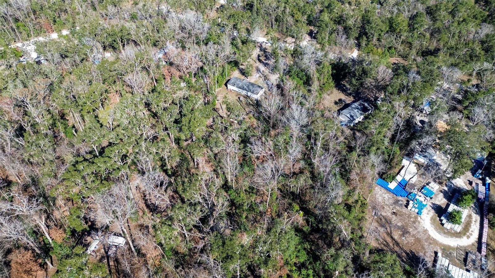 172 SW TRENTON TER, FORT WHITE, FL, 32038