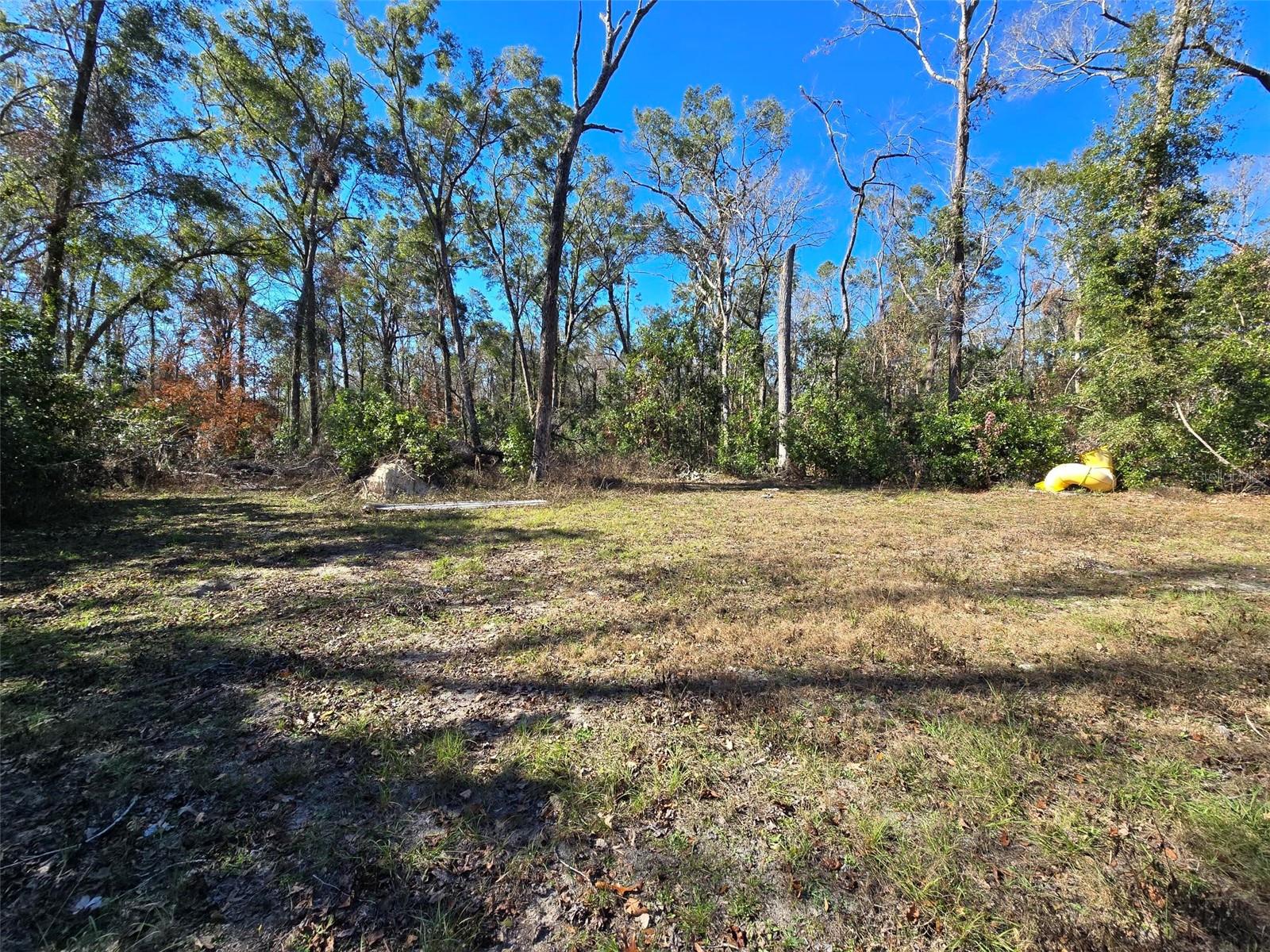 172 SW TRENTON TER, FORT WHITE, FL, 32038