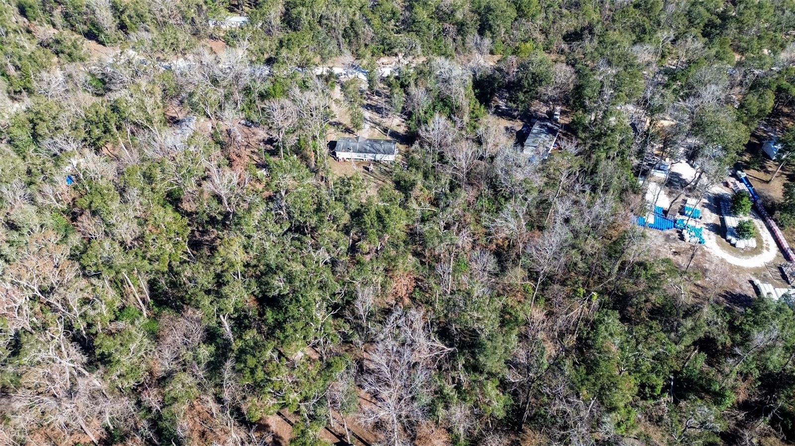 172 SW TRENTON TER, FORT WHITE, FL, 32038