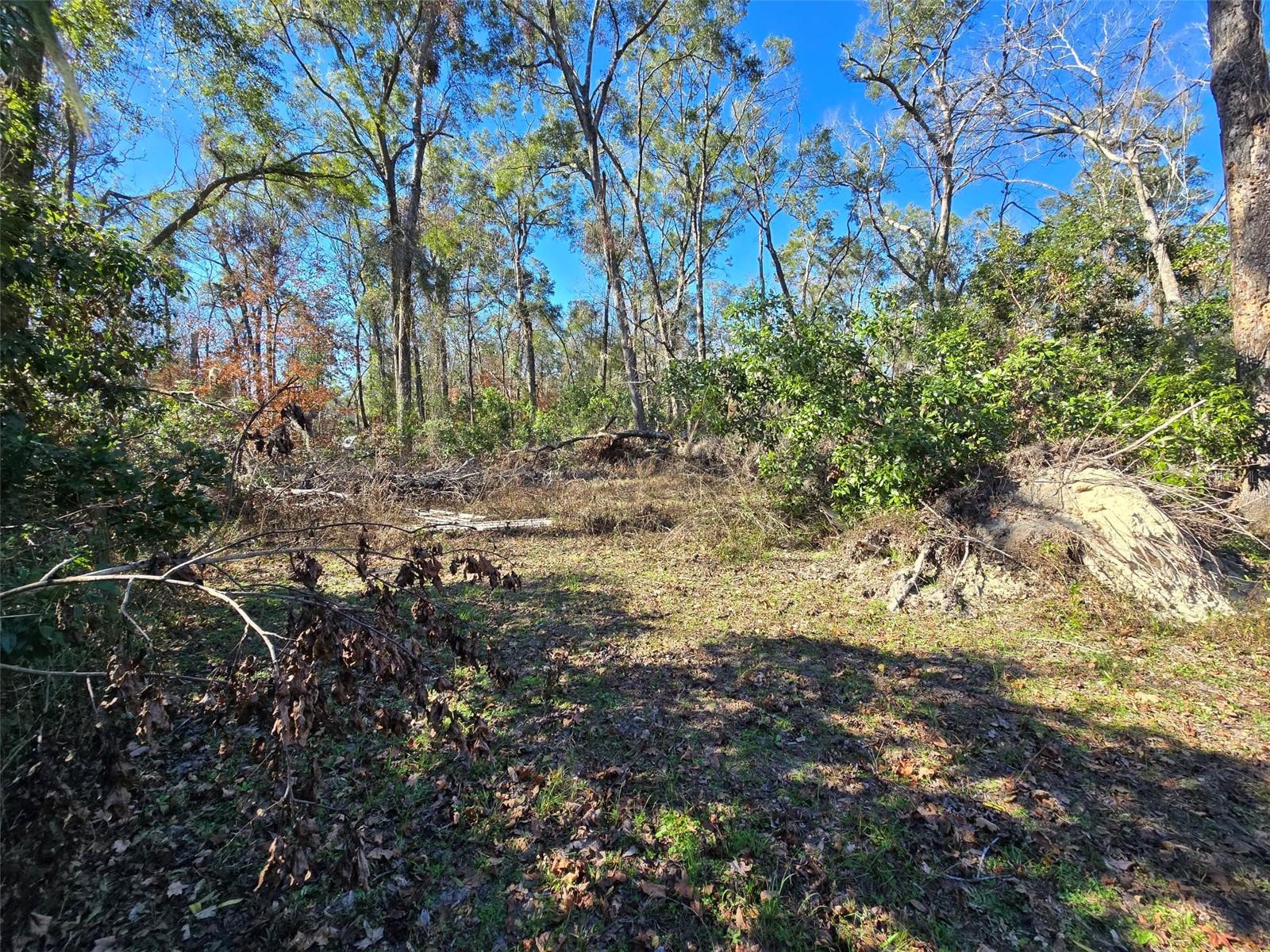 172 SW TRENTON TER, FORT WHITE, FL, 32038
