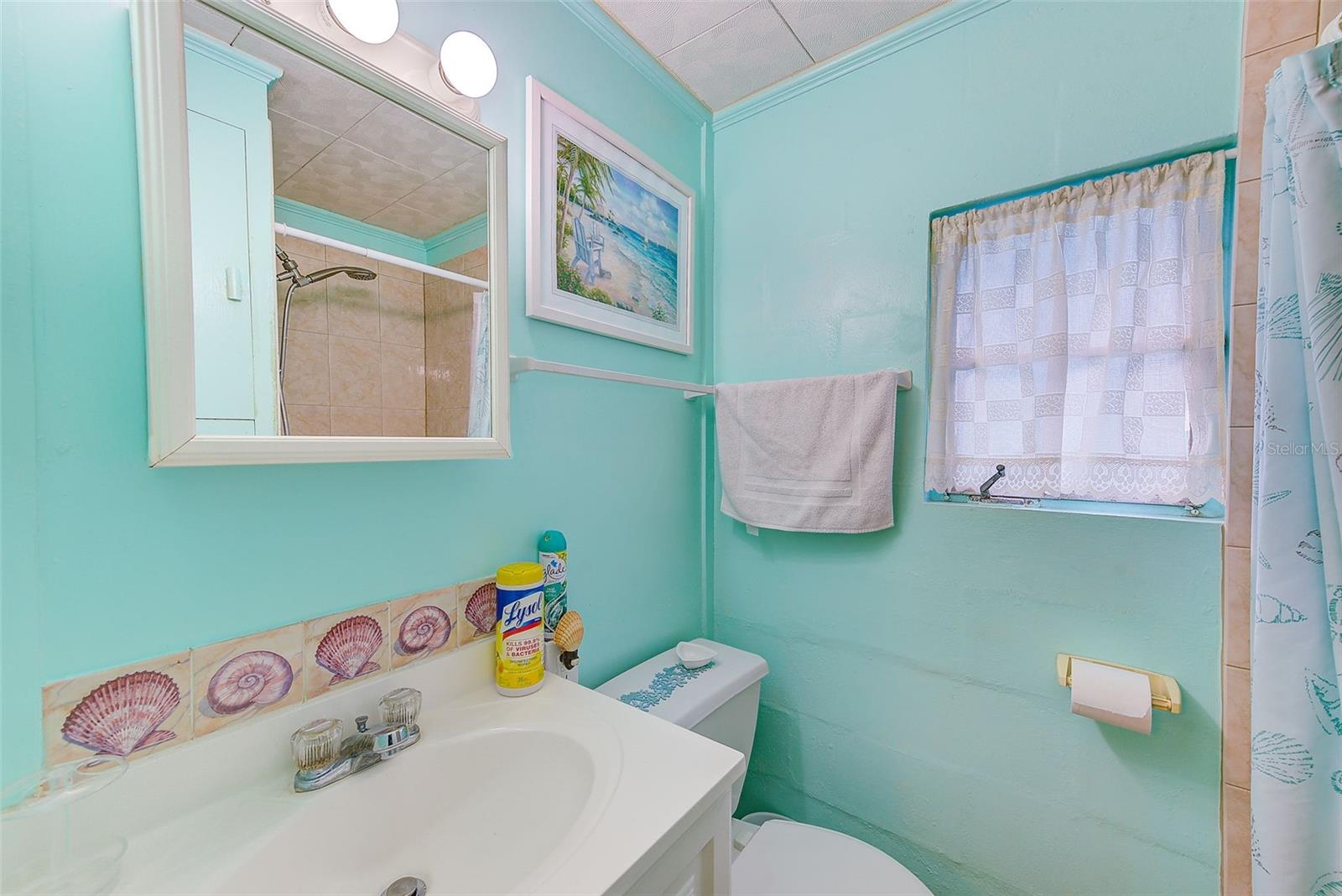 604 PENNSYLVANIA AVE, CRYSTAL BEACH, FL, 34681