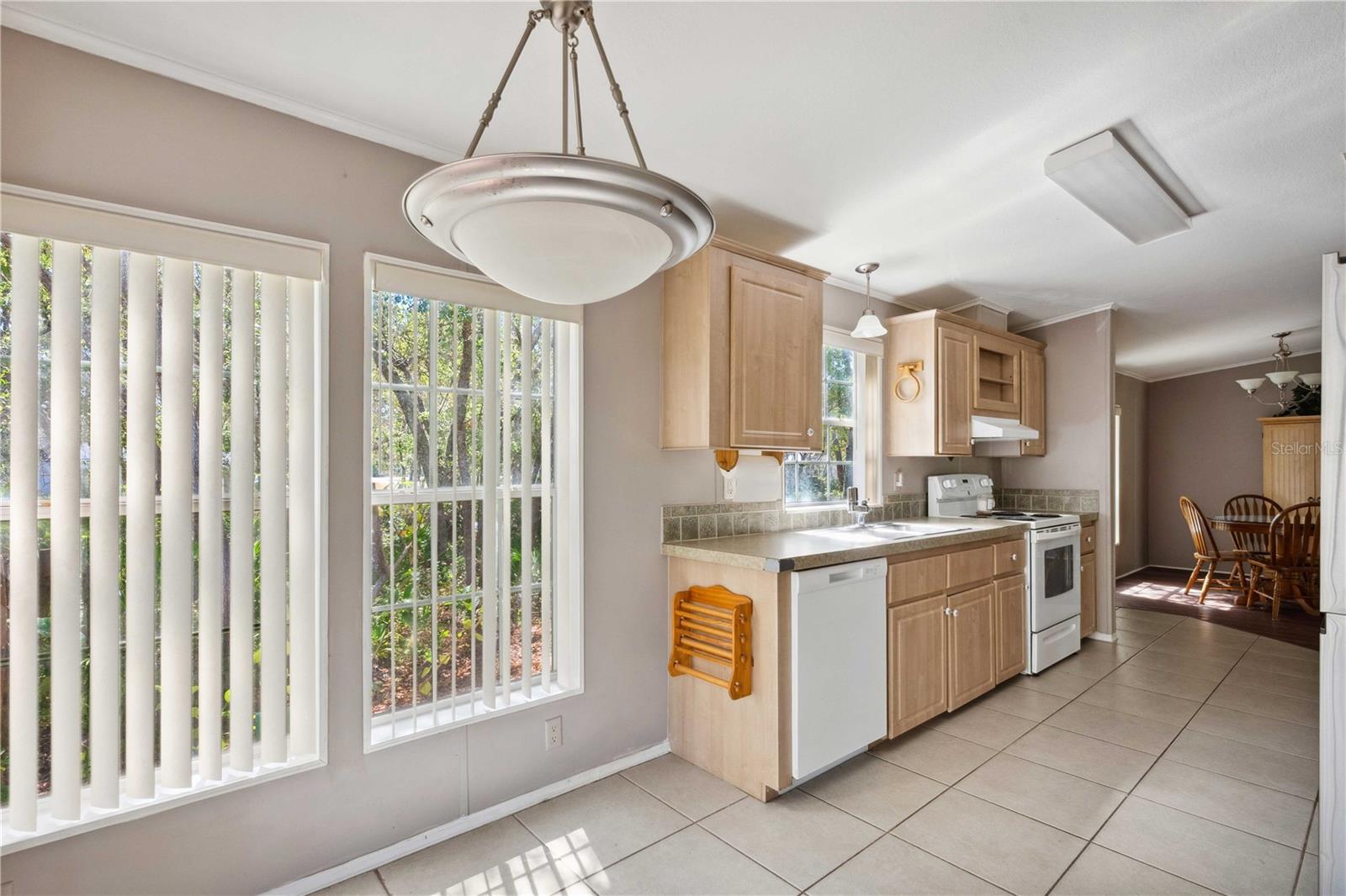 9305 ANCON AVE, WEBSTER, FL, 33597