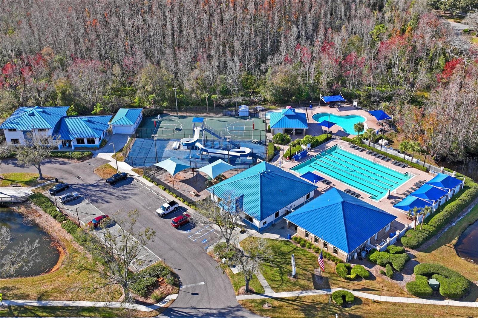 1301 HORSEMINT LN, WESLEY CHAPEL, FL, 33543
